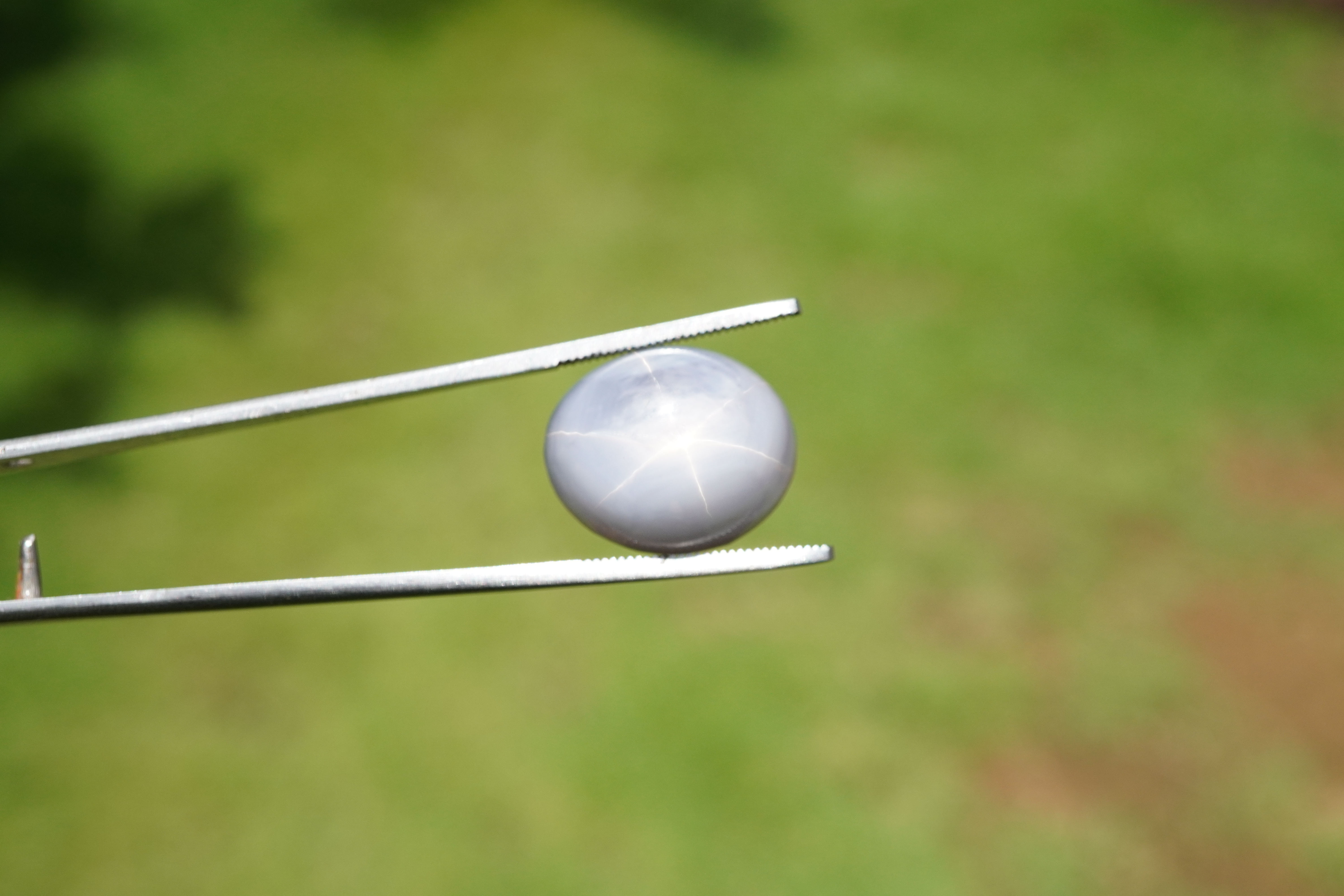 29 ct Gray Star Sapphire